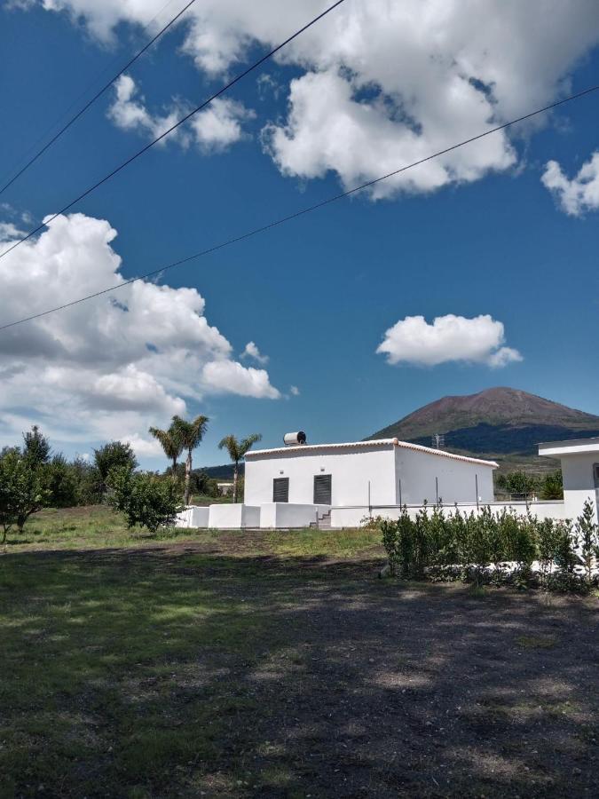 Bed and Breakfast Vesuvio Casa De Charme Треказе Экстерьер фото